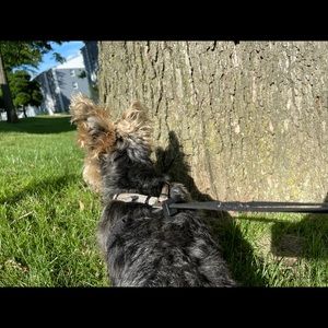 Meet your Posher, Kiah